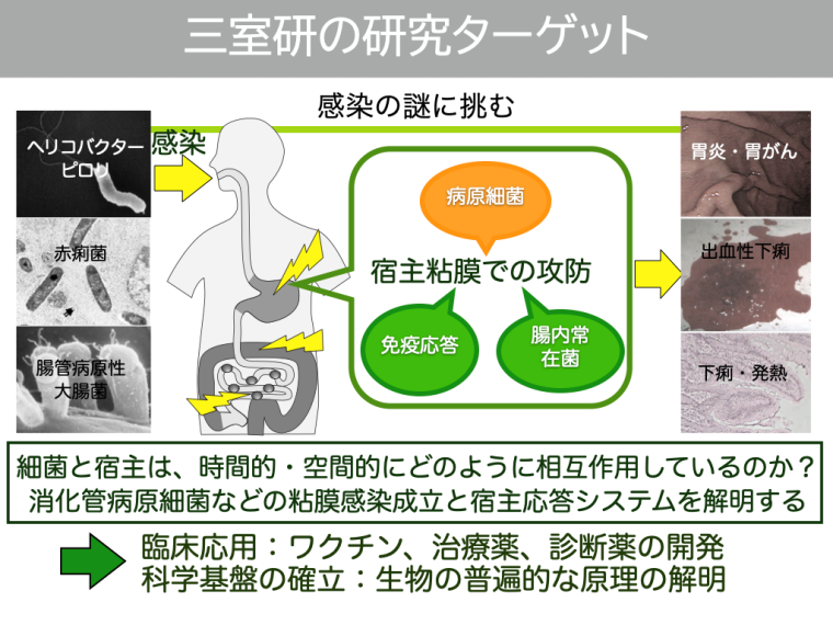 三室研の研究ターゲット